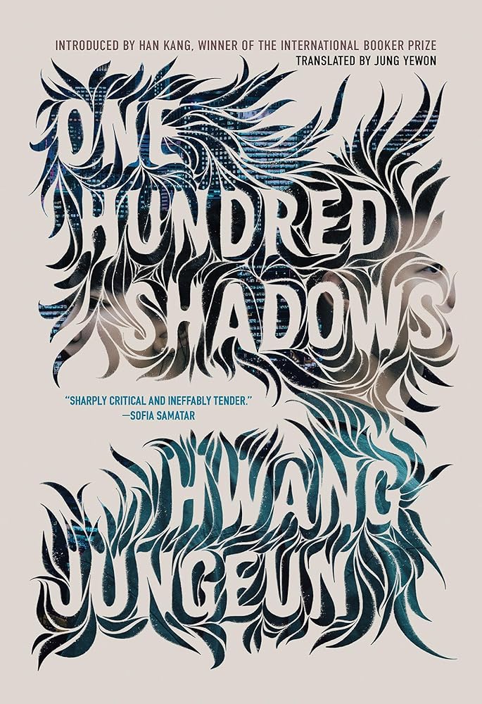 One Hundred Shadows cover image